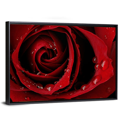 Red Rose with Dew Drops Wall Art