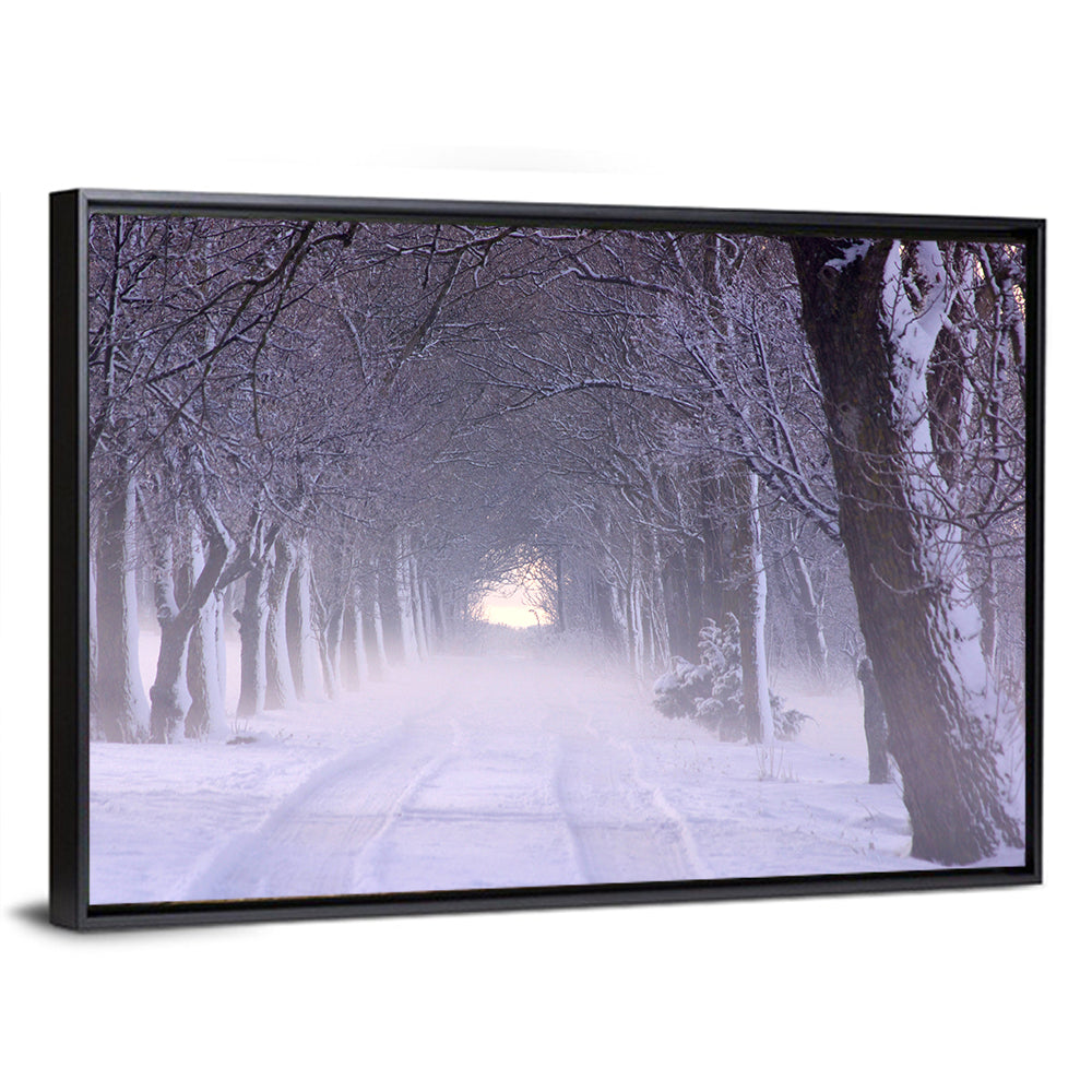 Kuressaare Park Snowy Path Wall Art