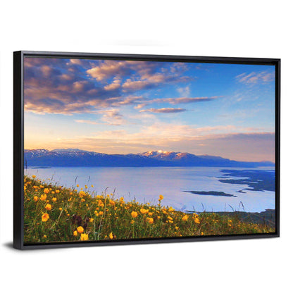 Abisko National Park Sunrise Wall Art