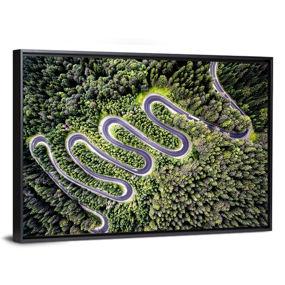 Serpentine Mountain Road Wall Art