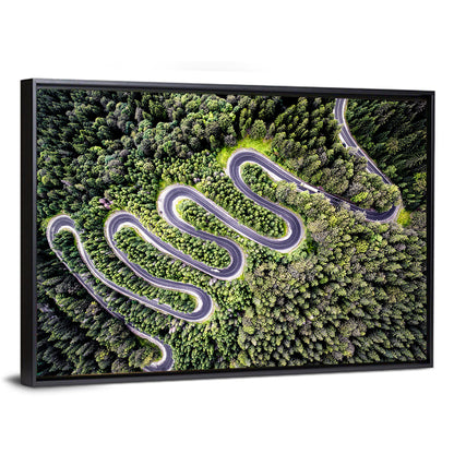 Serpentine Mountain Road Wall Art