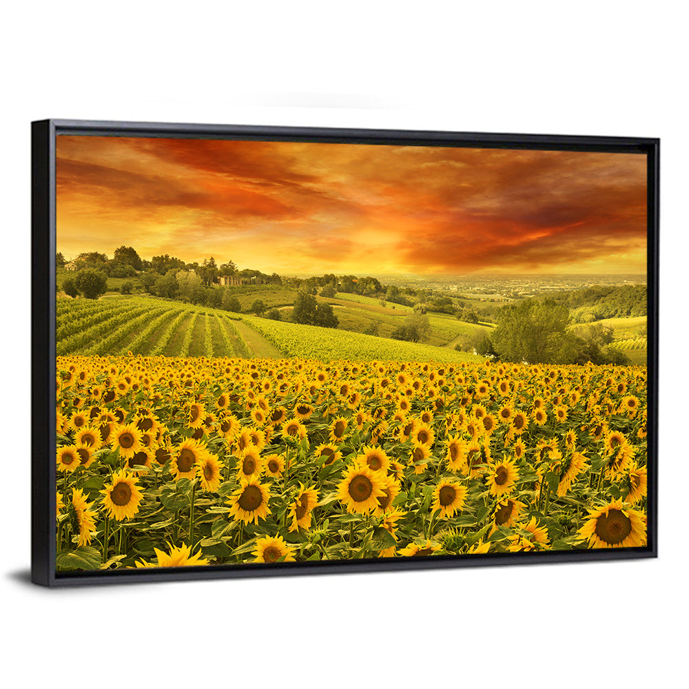 Sunflowers Fieldscape Wall Art