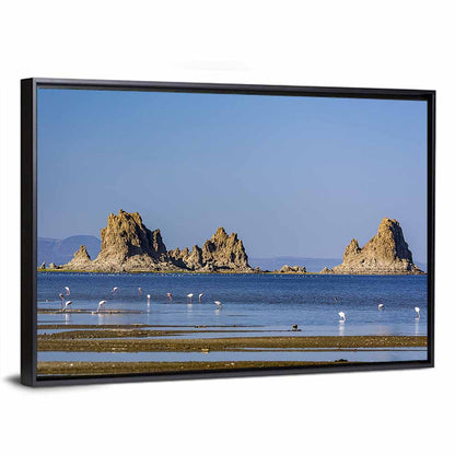Mono Lake Tufa Islets Wall Art