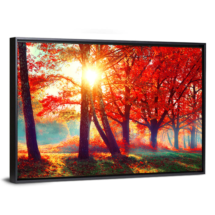 Autumn Park Sunrise Wall Art as a framed canvas