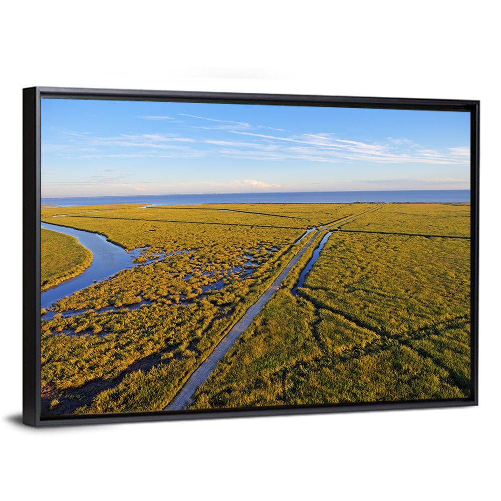 Delaware Bay Marshland Aerial Wall Art