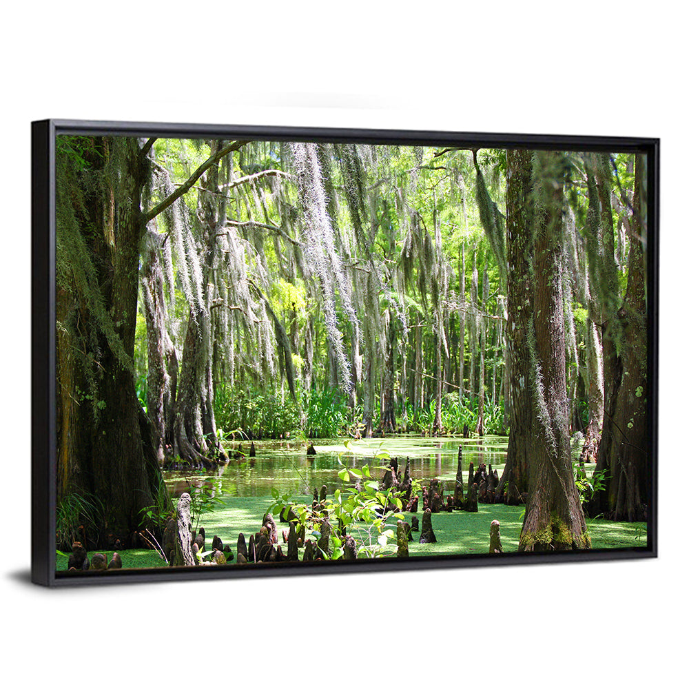 Louisiana Cypress Swamp Wall Art