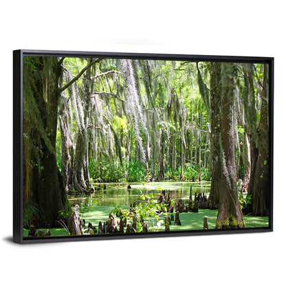 Louisiana Cypress Swamp Wall Art