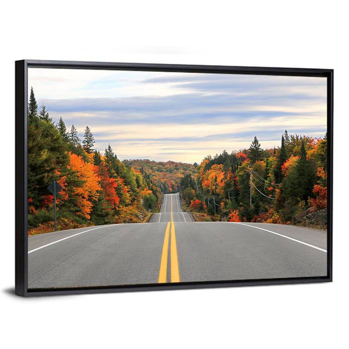 Algonquin Park Road Wall Art as a framed canvas