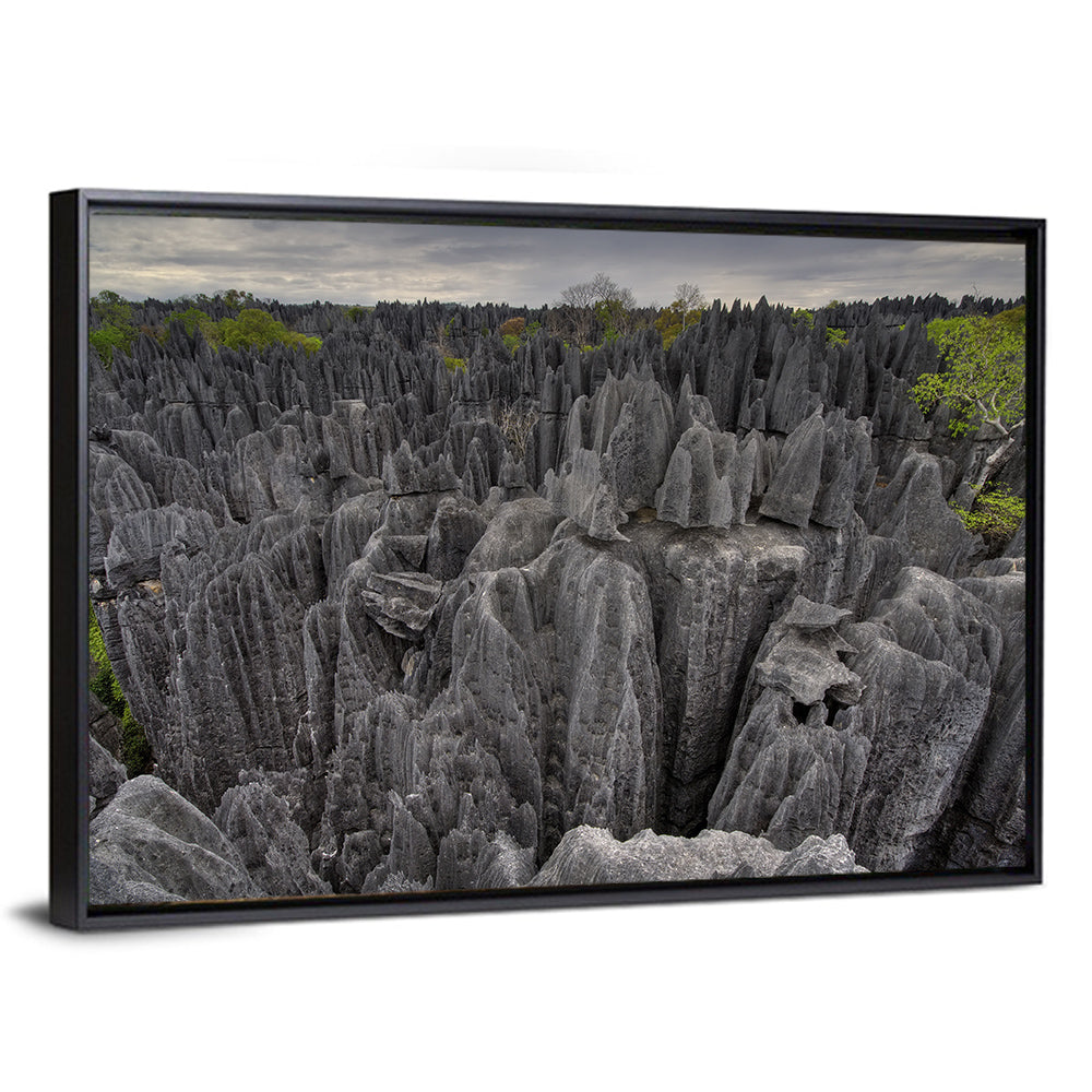 Tsingy De Bemaraha Pinnacles Wall Art