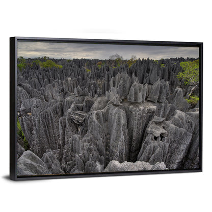 Tsingy De Bemaraha Pinnacles Wall Art