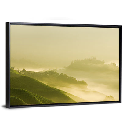 Tea Plantation Morning Mist Wall Art