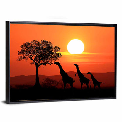 South African Giraffes Silhouette Wall Art