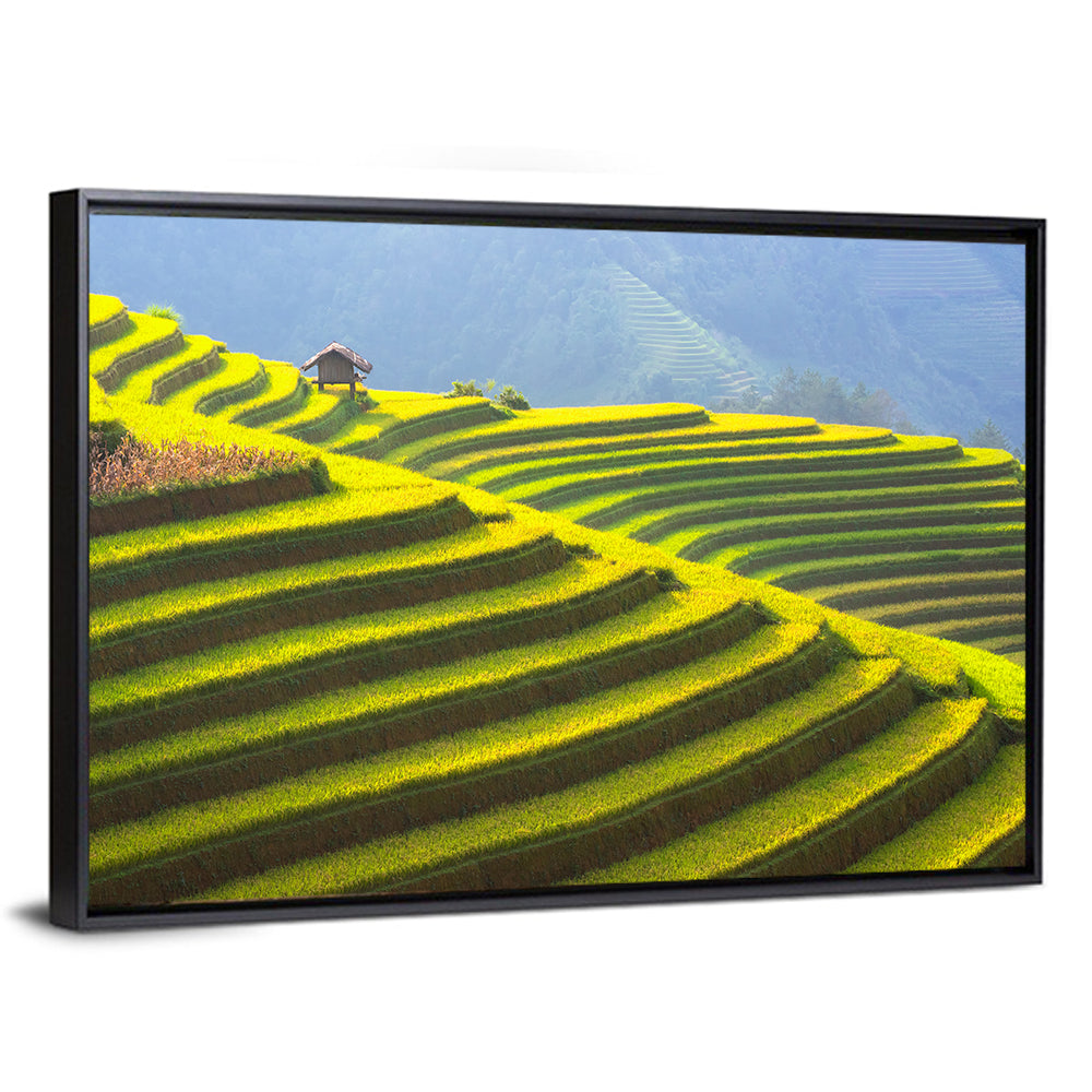 Mu Cang Chai Rice Terraces Wall Art
