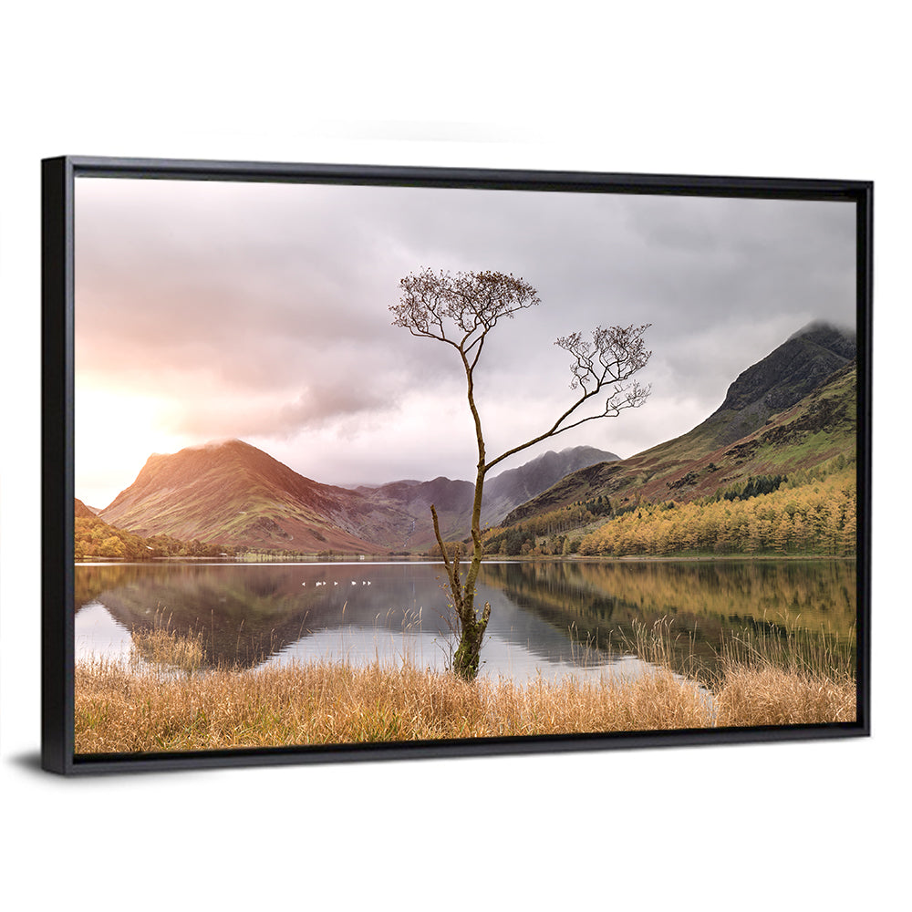 Buttermere Lone Tree at Dusk Wall Art