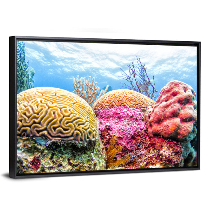 Vibrant Brain Coral Reef Wall Art as a framed canvas