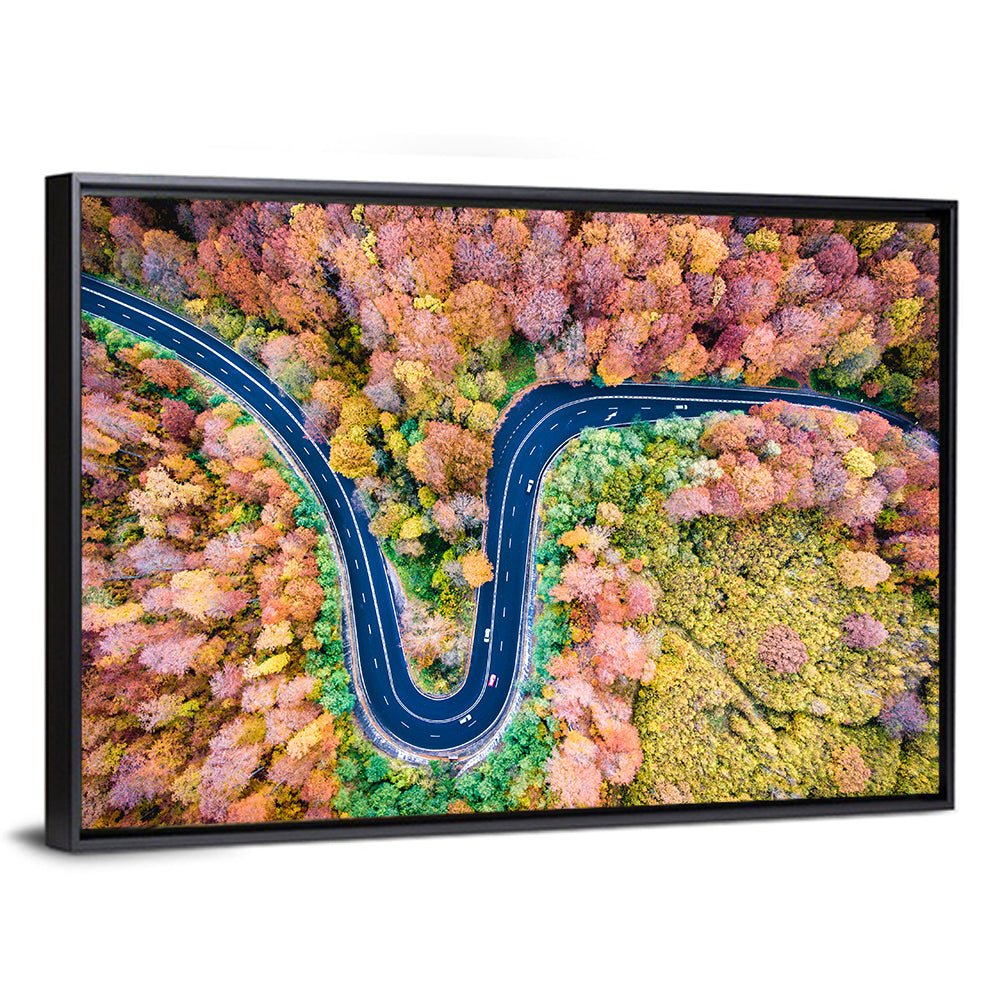 Winding Forest Road Wall Art