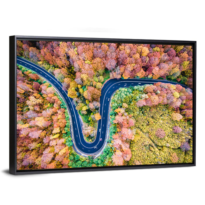 Winding Forest Road Wall Art as a framed canvas