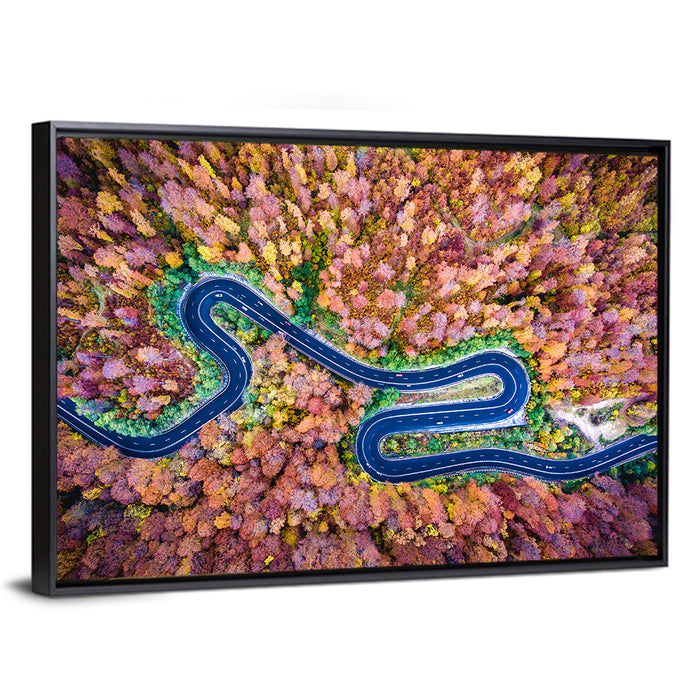 Aerial Winding Road Wall Art as a framed canvas
