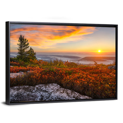 Sunrise Over Dolly Sods Wall Art