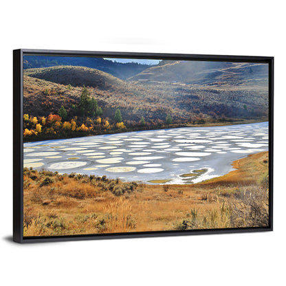 Spotted Lake Osoyoos Wall Art