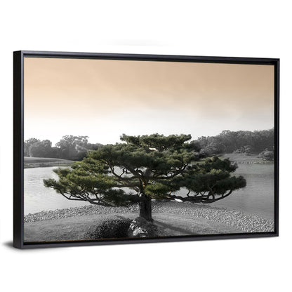 Bonsai Pine in Japanese Garden Wall Art