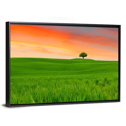Tuscany Sunset Hills Wall Art