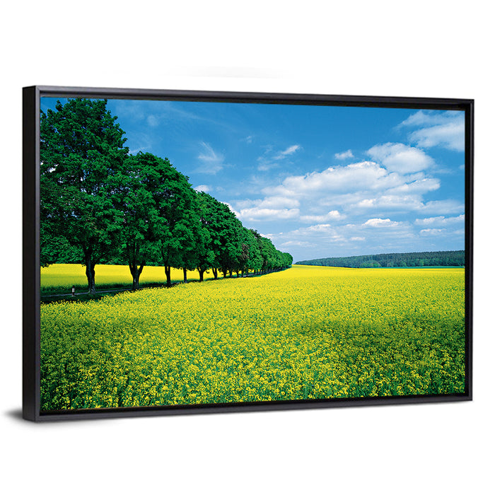 Spring Field of Yellow Flowers Wall Art as a framed canvas