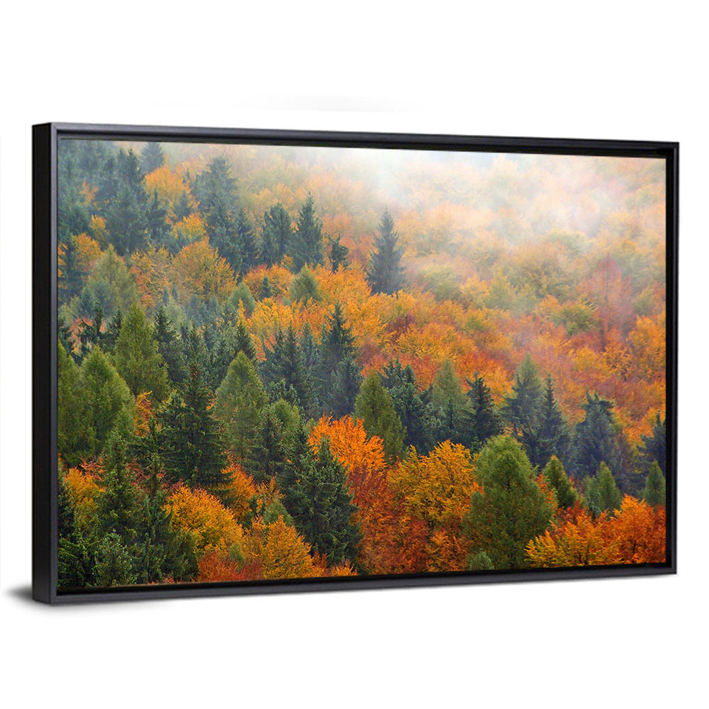Misty Autumn Forestscape Wall Art