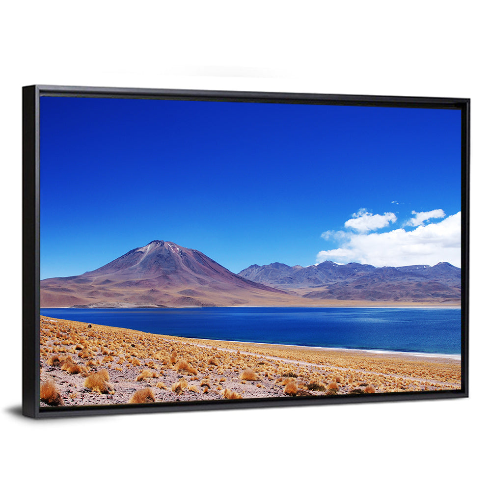 Miscanti Lagoon and Miñiques Volcano Wall Art