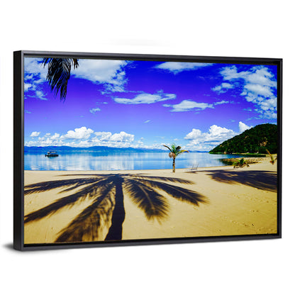 Lake Malawi Palm Shadow Wall Art