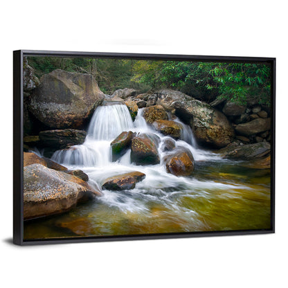 Blue Ridge Mossy Waterfall Wall Art