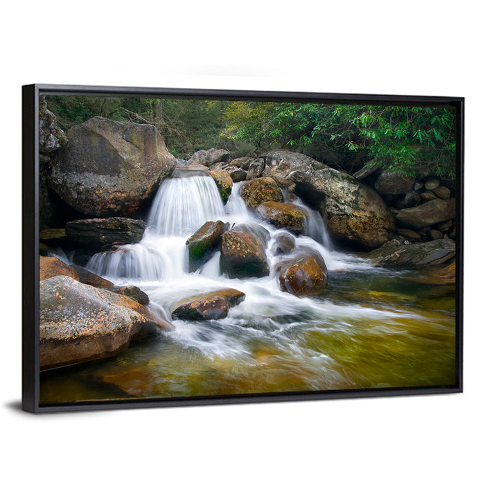 Blue Ridge Mossy Waterfall Wall Art as a framed canvas