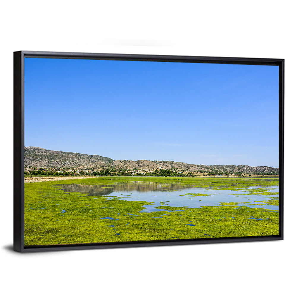 Green Algae in Uchali Lake Wall Art