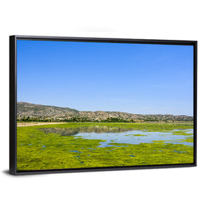 Green Algae in Uchali Lake Wall Art