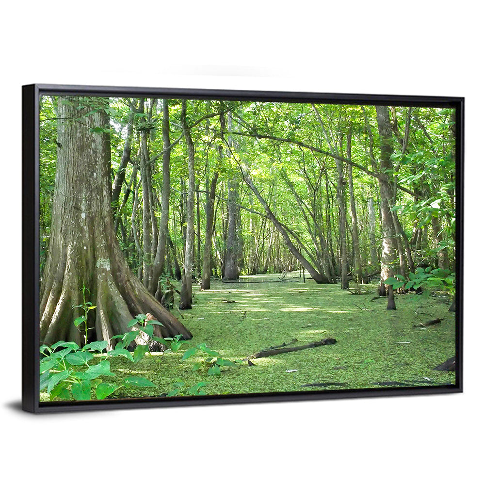 Summer Cypress Bayou, Louisiana Wall Art