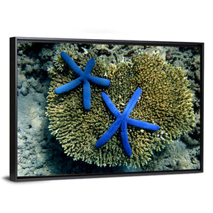 Blue Starfish Wall Art