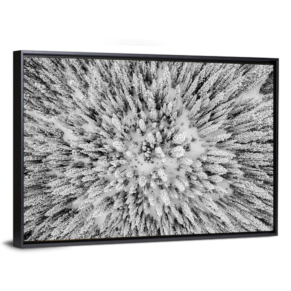 Snowy Aerial Forest Wall Art