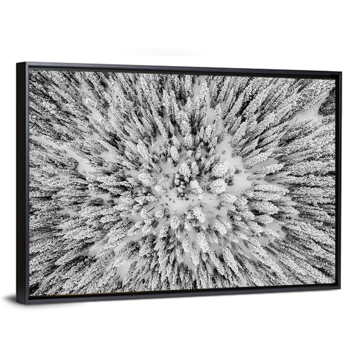 Snowy Aerial Forest Wall Art as a framed canvas