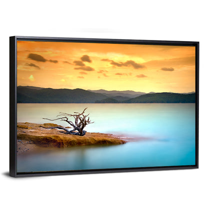 Gnarled Driftwood at Turquoise Lake Wall Art