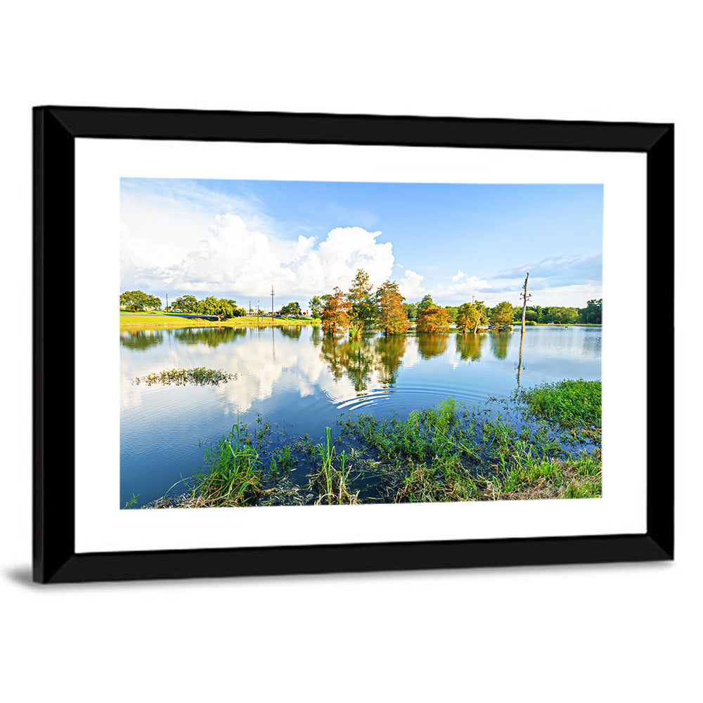 Lafayette Bayou Louisiana Wall Art