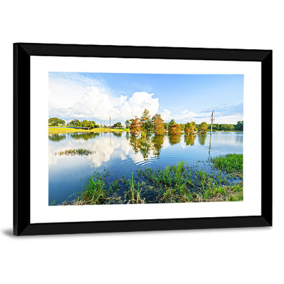 Lafayette Bayou Louisiana Wall Art