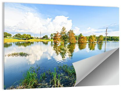 Lafayette Bayou Reflection Wall Art