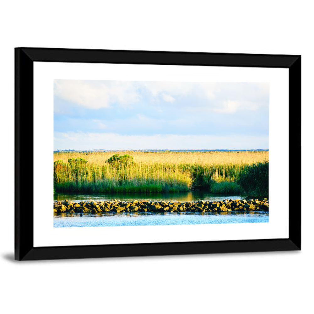 Louisiana Bayou Marsh at Golden Hour Wall Art