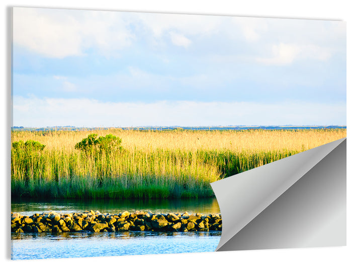 Louisiana Bayou Marsh at Golden Hour Wall Art as a poster print