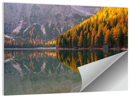Braies Lake Golden Reflection Wall Art