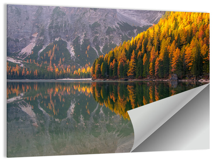 Braies Lake Golden Reflection Wall Art as a poster print