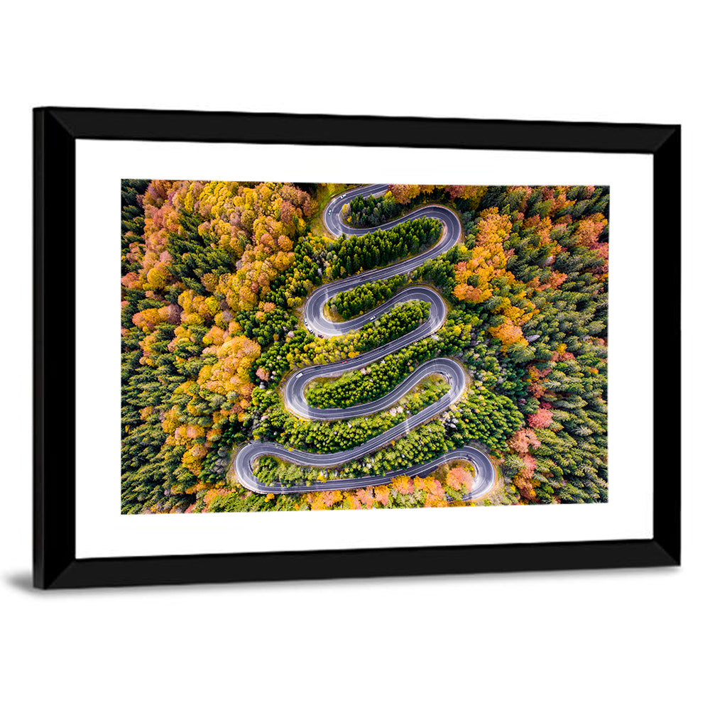 Autumn Winding Forest Road Wall Art