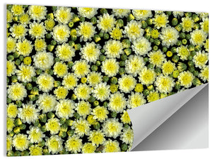 Blooming Spring Flowers Wall Art