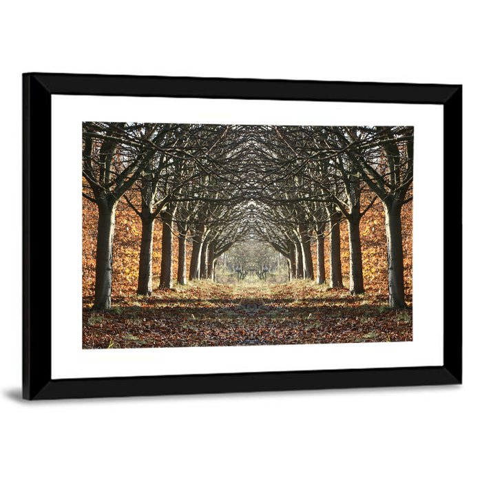 Danish Autumn Tree-lined Path Wall Art as a framed print