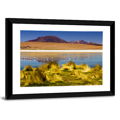 Flamingos on Salt Lake Wall Art
